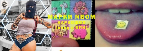 спиды Новодвинск