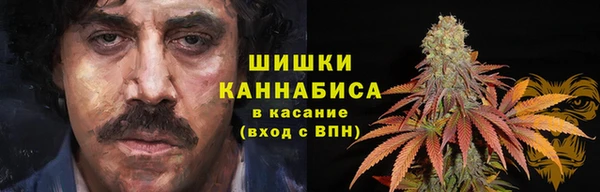 дурь Новозыбков