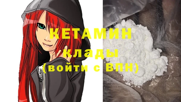 спиды Новодвинск